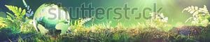 Aaron Environmental your environmental partner